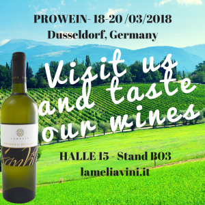 Visit us at the Prowein and taste our wines