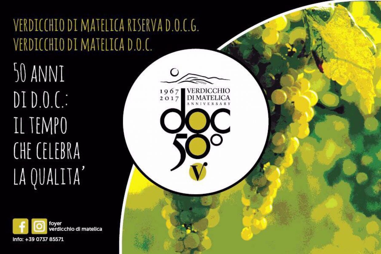 Enopress Tasting: Provima and the Matelica’s Verdicchio