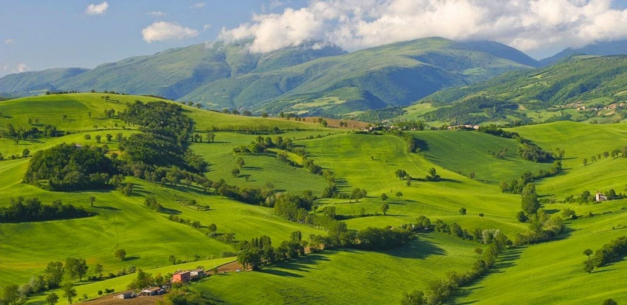 The Sunday Times: Dimenticate la Toscana. Scoprite le Marche