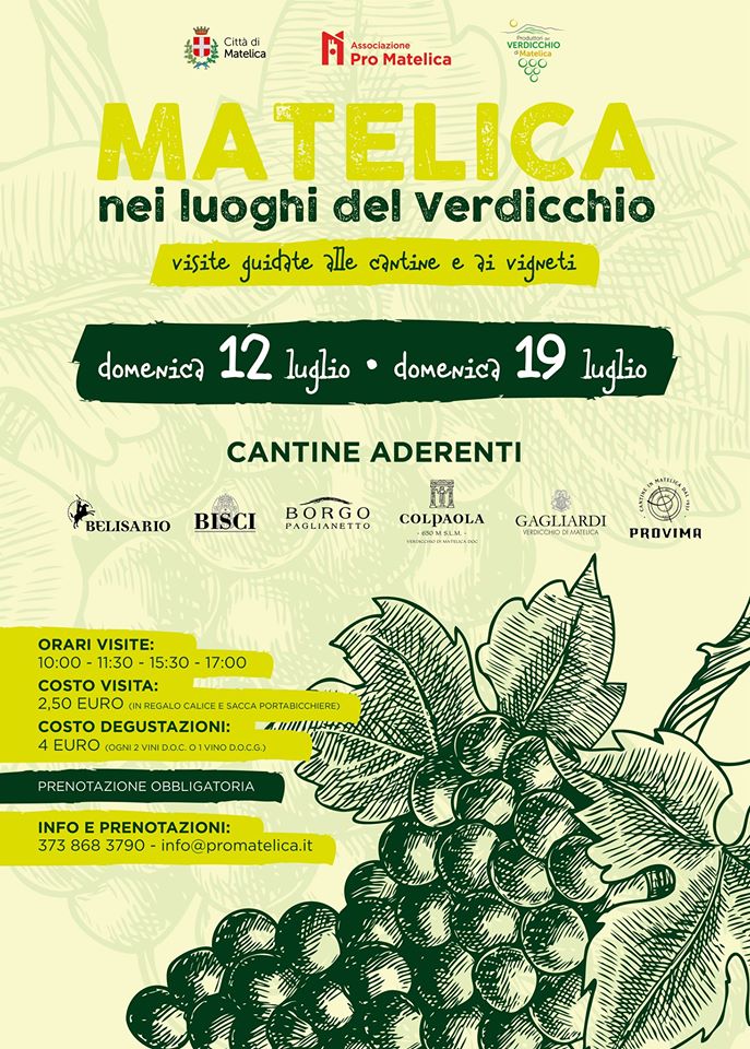 Matelica nei luoghi del verdicchio Visita degustazione cantine verdicchio di Matelica proloco