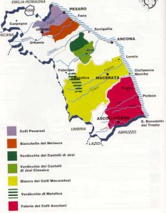 Mappa di alcuni vini DOC della Regione Marche
